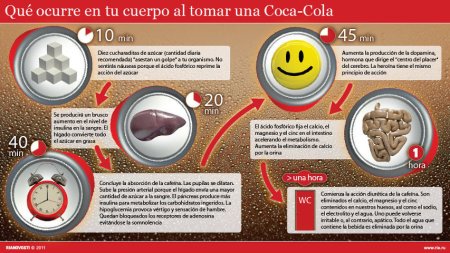 Coca Cola efectos sobre el cuerpo humano